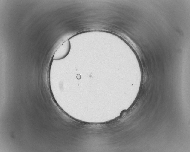 X0000115351293200912151328