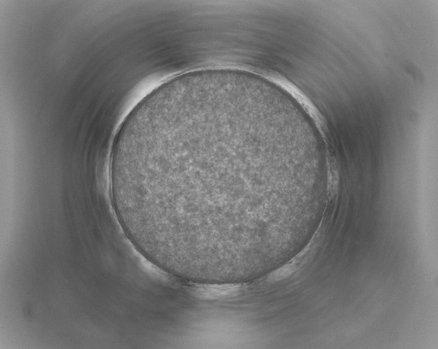 X0000115351294200912151328