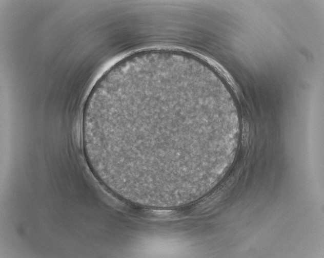 X0000115351295200912151328