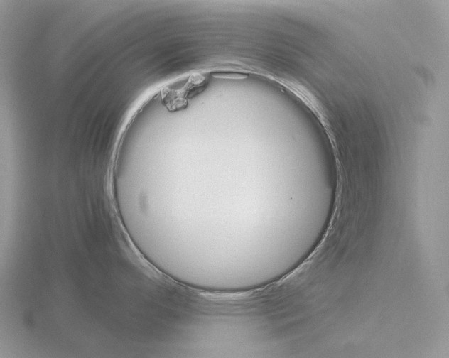 X0000115351296200912151328