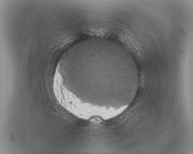 X0000115351297200912151328