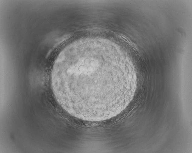 X0000115351302200912151328