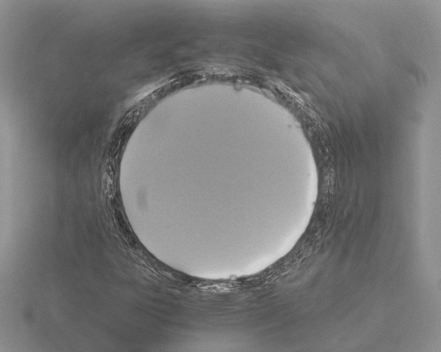 X0000115351303200912151328