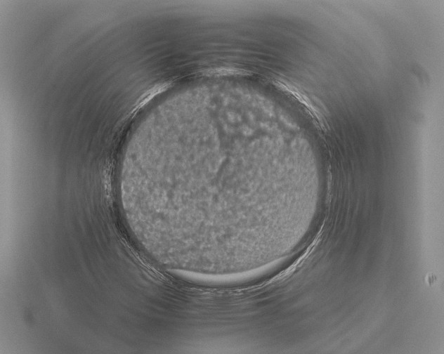 X0000115351305200912151328