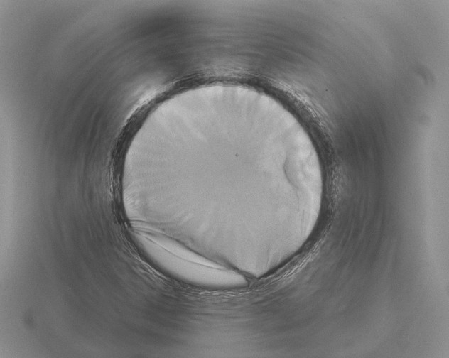 X0000115351306200912151328