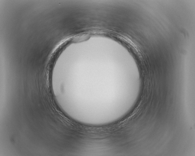 X0000115351310200912151328