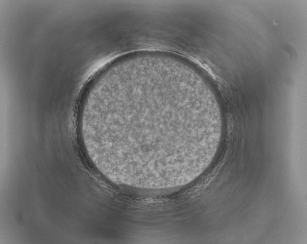 X0000115351311200912151328