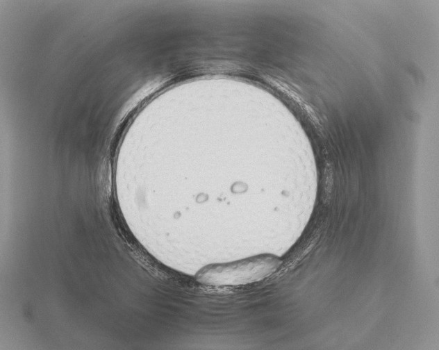 X0000115351317200912151328