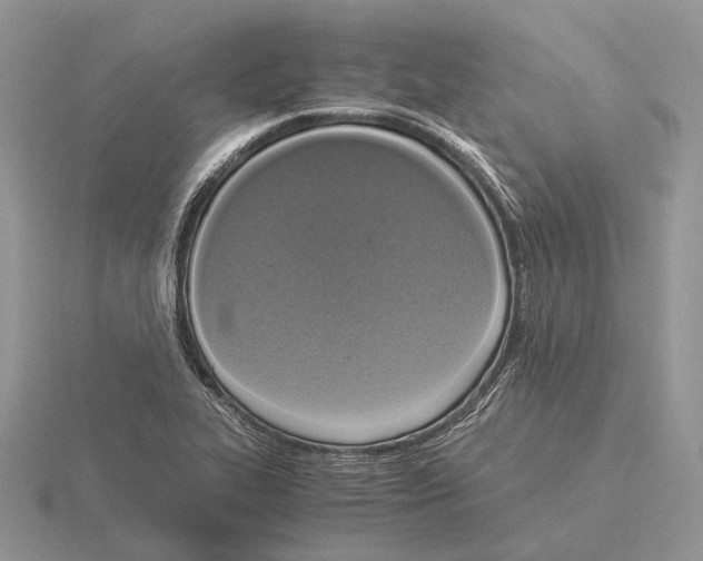 X0000115351319200912151328