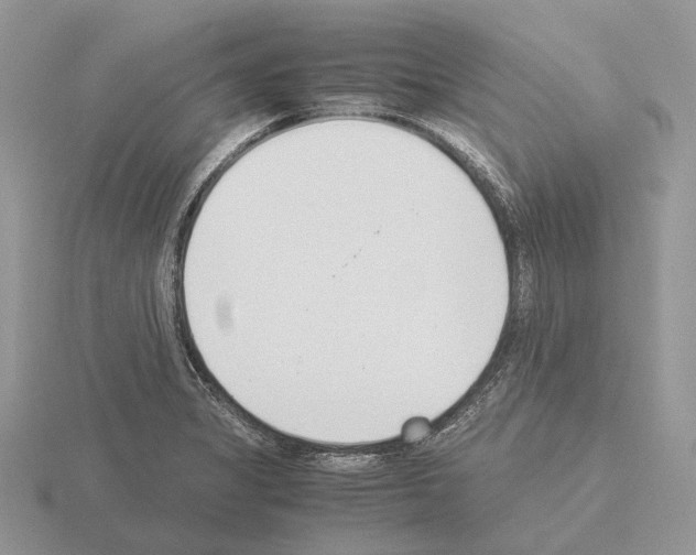 X0000115351325200912151328