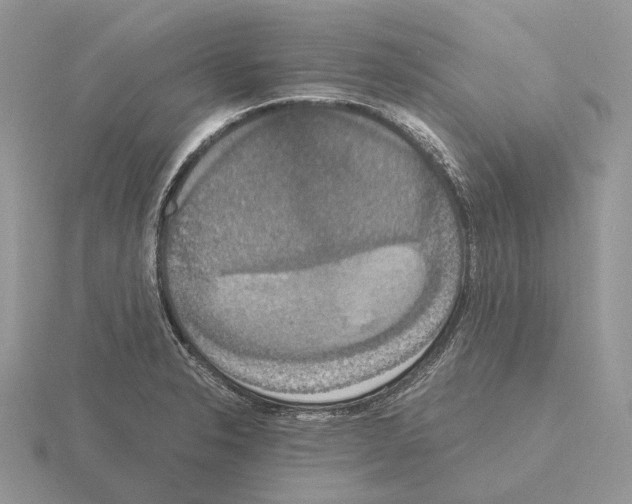 X0000115351326200912151328