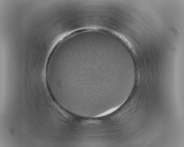 X0000115351327200912151328