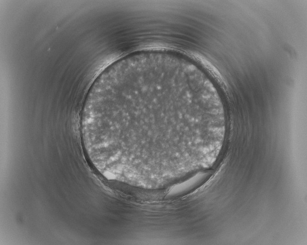 X0000115351329200912151328