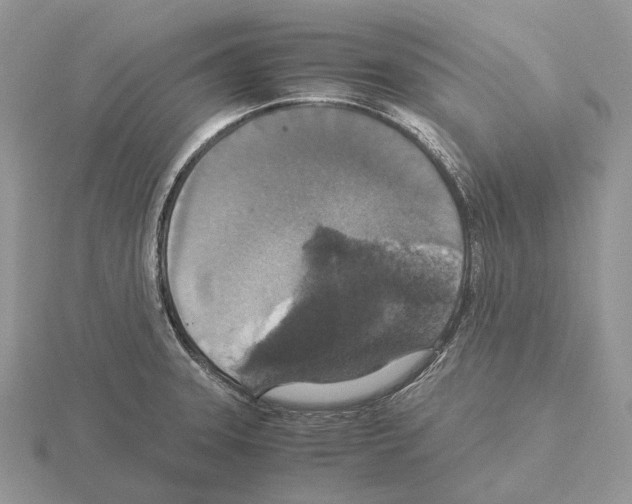 X0000115351331200912151328