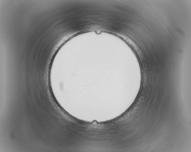 X0000115351333200912151328