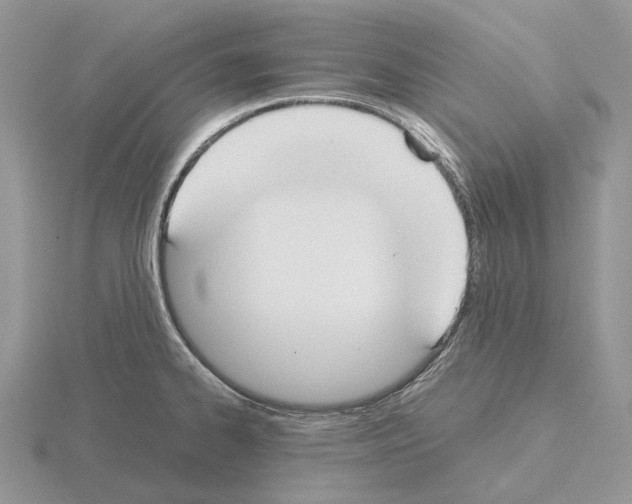 X0000115351334200912151328