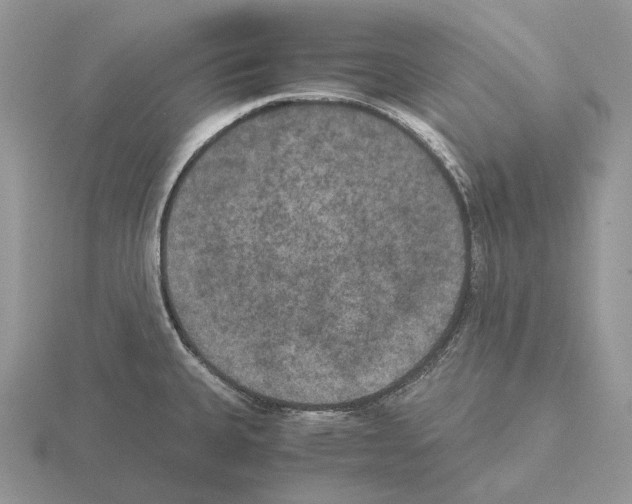 X0000115351335200912151328