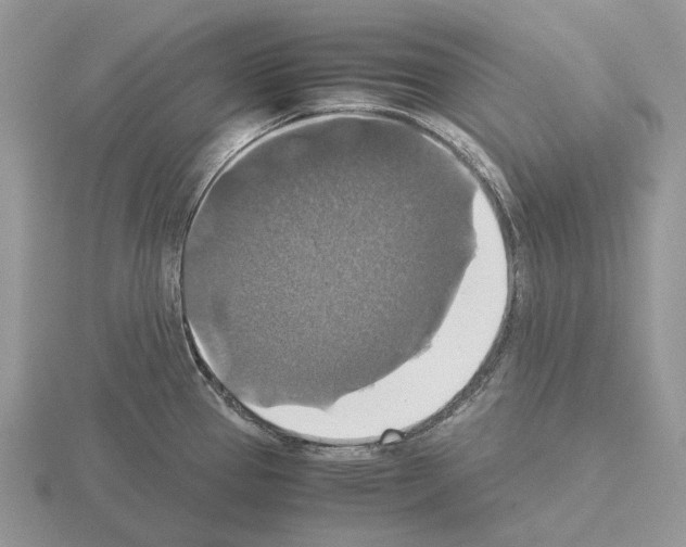 X0000115351337200912151328