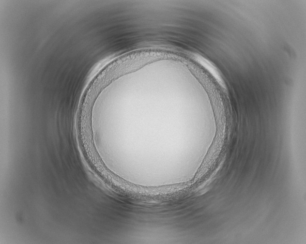 X0000115351338200912151328