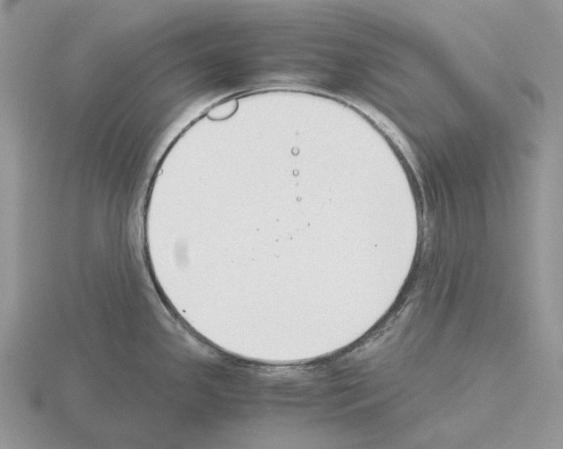 X0000115351341200912151328