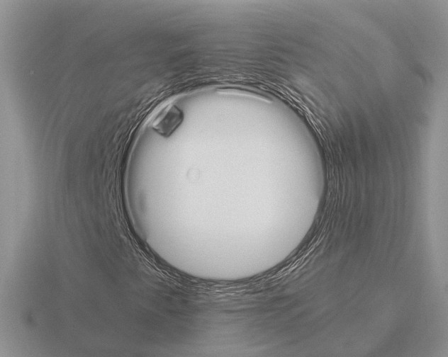 X0000115351345200912151328