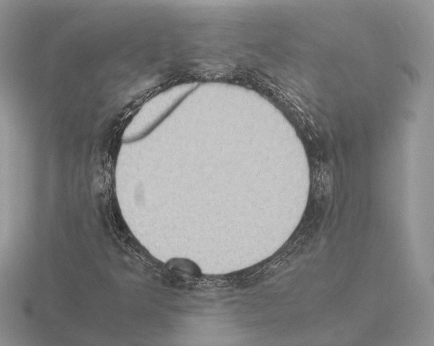 X0000115351349200912151328