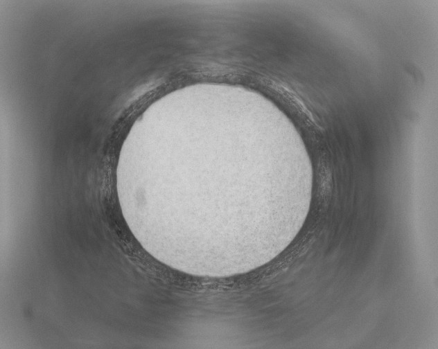 X0000115351350200912151328