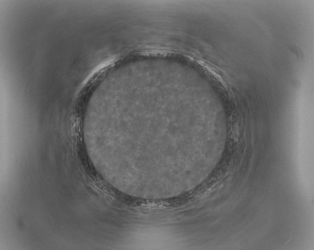 X0000115351351200912151328