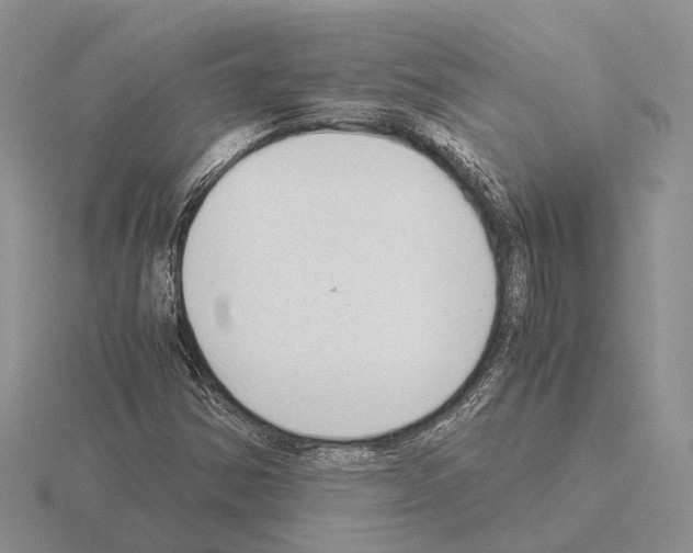 X0000115351354200912151328