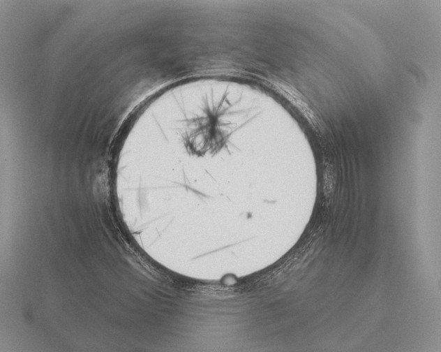 X0000115351356200912151328