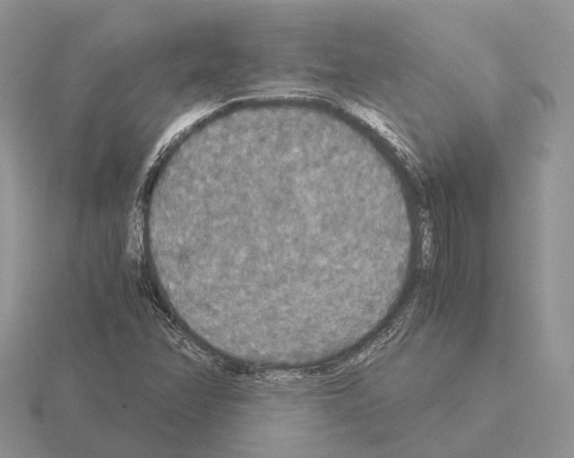 X0000115351358200912151328