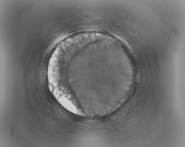 X0000115351359200912151328