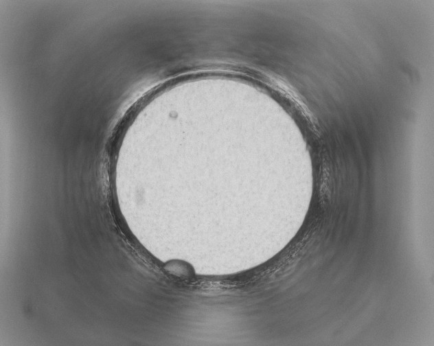 X0000115351360200912151328