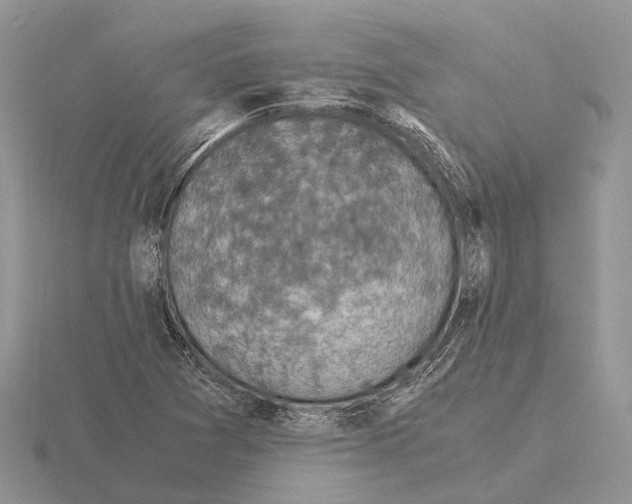 X0000115351361200912151327