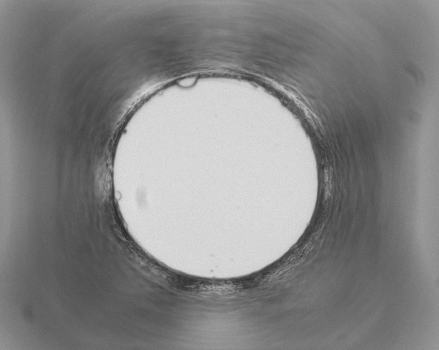 X0000115351363200912151327