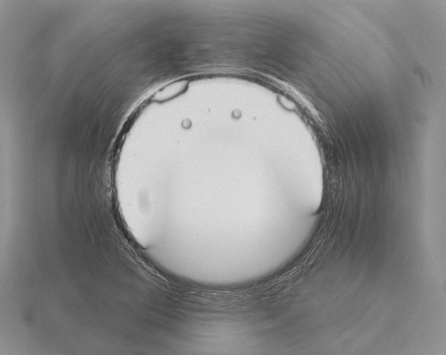 X0000115351364200912151327