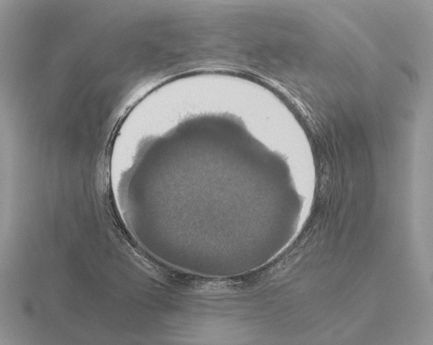 X0000115351367200912151327