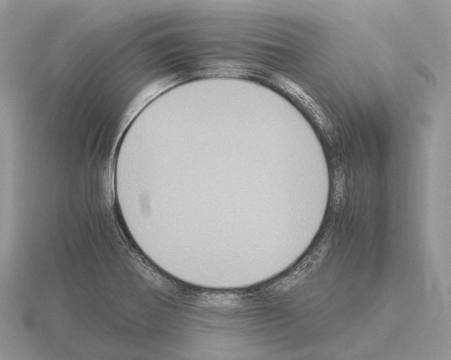 X0000115351370200912151327