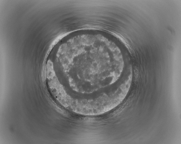 X0000115351371200912151327