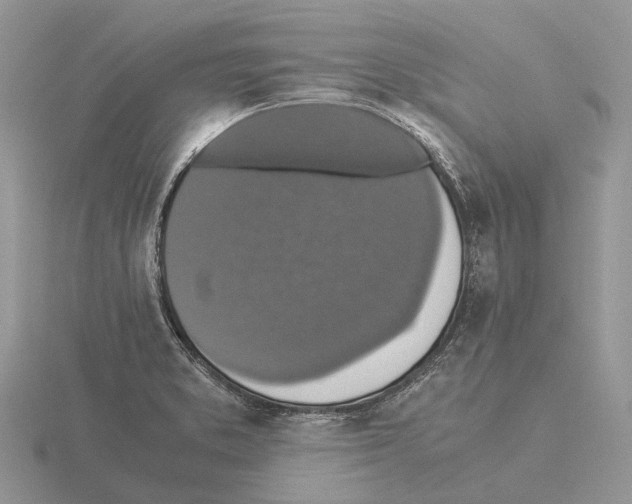 X0000115351373200912151327