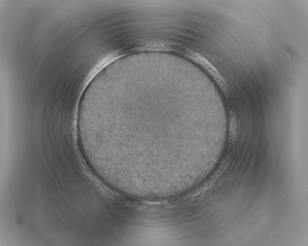 X0000115351378200912151327