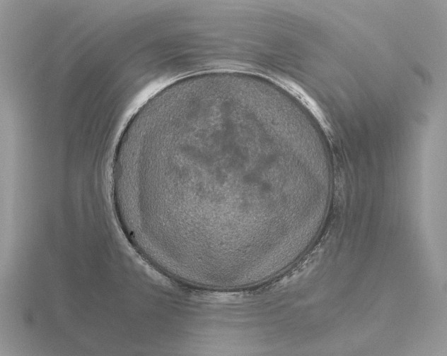 X0000115351381200912151327