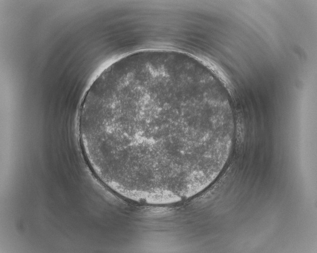 X0000115351382200912151327