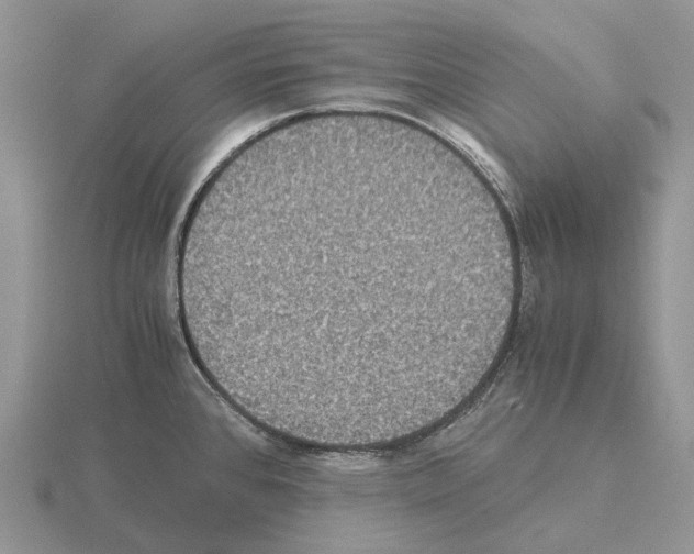 X0000115351384200912151327