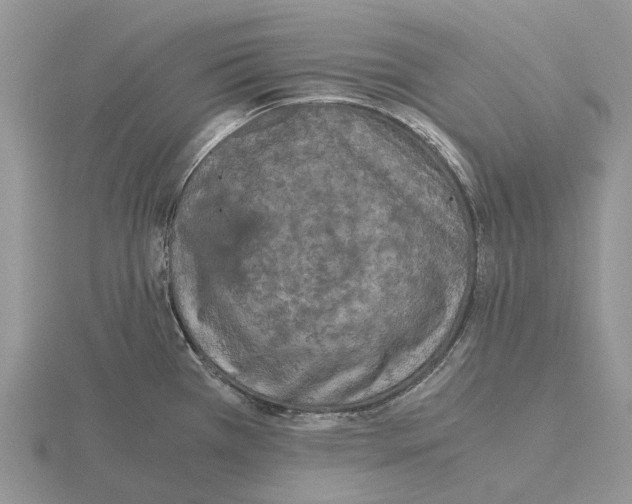 X0000115351385200912151327