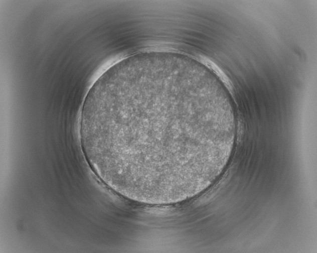 X0000115351386200912151327