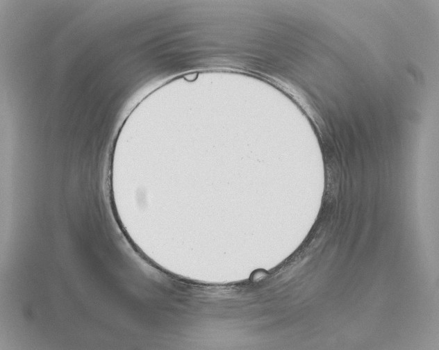 X0000115351387200912151327