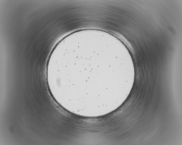 X0000115351388200912151327