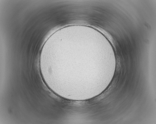 X0000115351390200912151327