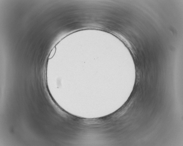 X0000115351391200912151327